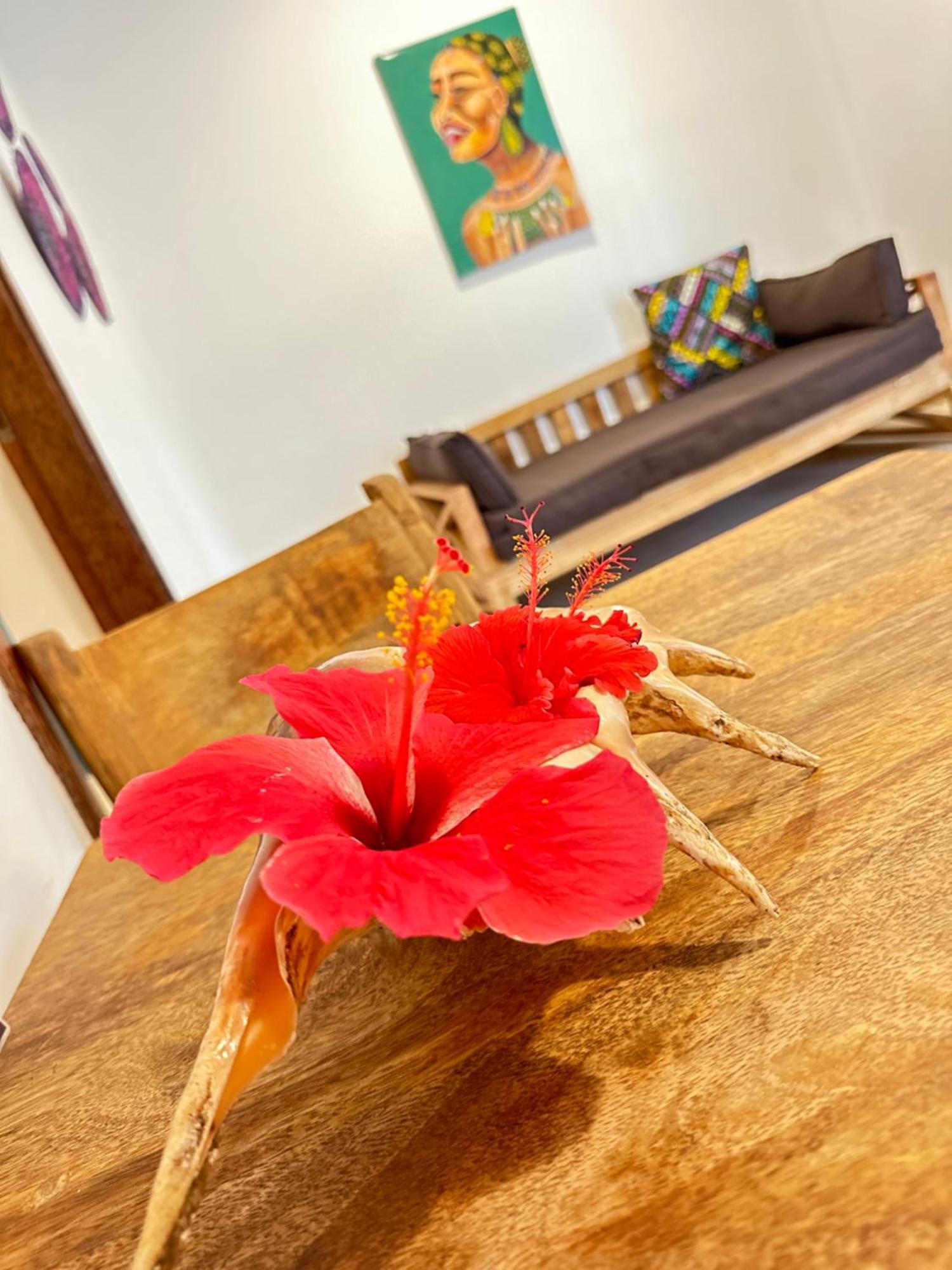 Sand Beach Boutique Apartments Bwejuu Luaran gambar