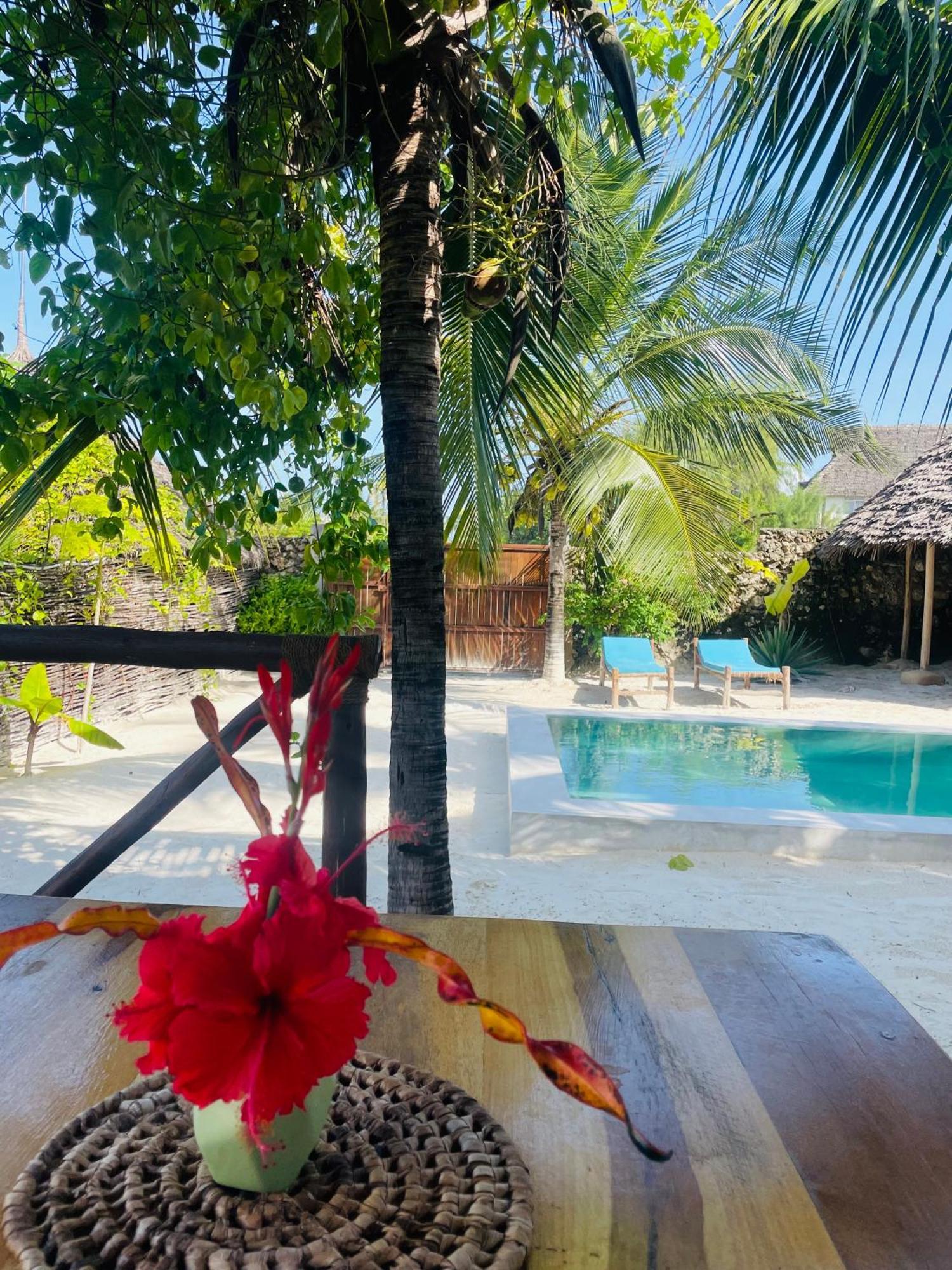 Sand Beach Boutique Apartments Bwejuu Luaran gambar